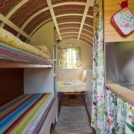 Clissmann Horse Caravans Glamping Rathdrum Zewnętrze zdjęcie
