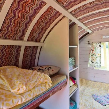 Clissmann Horse Caravans Glamping Rathdrum Zewnętrze zdjęcie