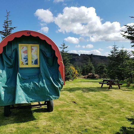 Clissmann Horse Caravans Glamping Rathdrum Zewnętrze zdjęcie