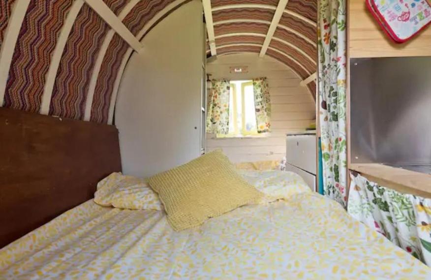 Clissmann Horse Caravans Glamping Rathdrum Zewnętrze zdjęcie