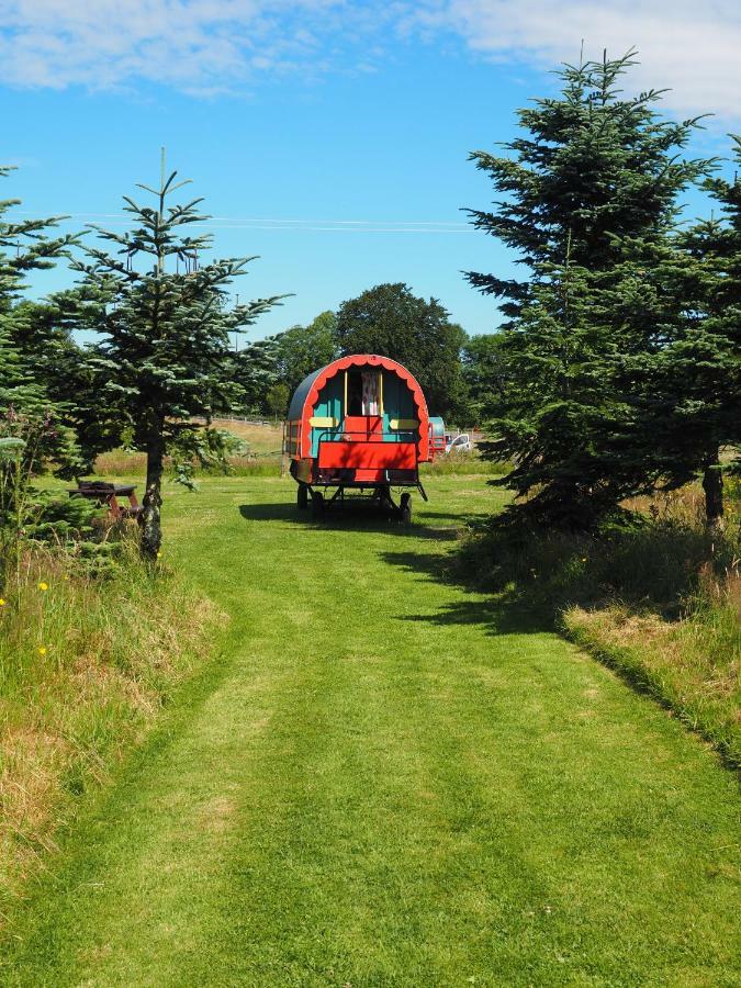 Clissmann Horse Caravans Glamping Rathdrum Zewnętrze zdjęcie