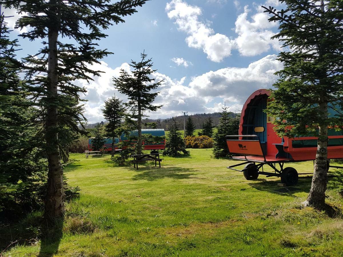 Clissmann Horse Caravans Glamping Rathdrum Zewnętrze zdjęcie