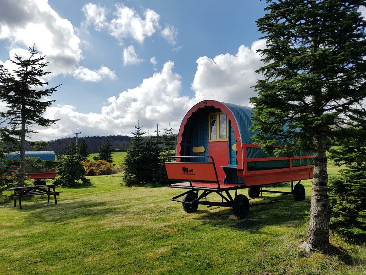 Clissmann Horse Caravans Glamping Rathdrum Zewnętrze zdjęcie