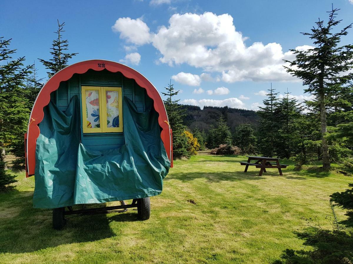 Clissmann Horse Caravans Glamping Rathdrum Zewnętrze zdjęcie