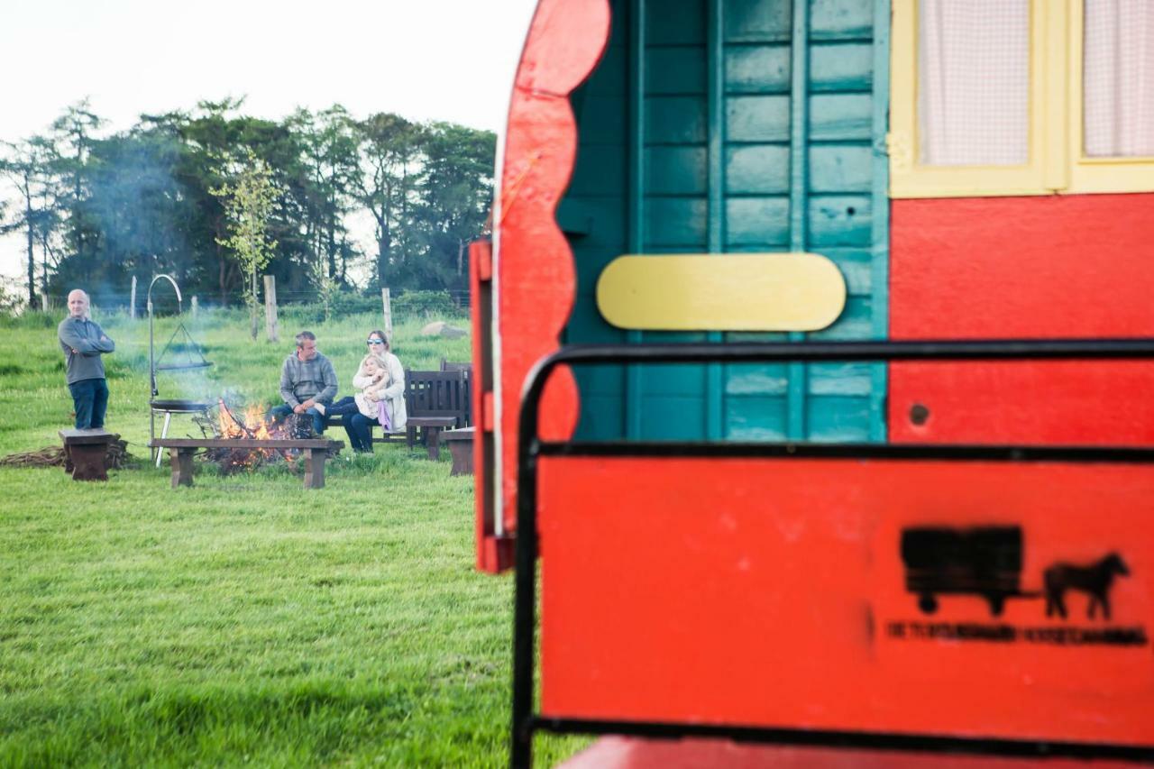 Clissmann Horse Caravans Glamping Rathdrum Zewnętrze zdjęcie
