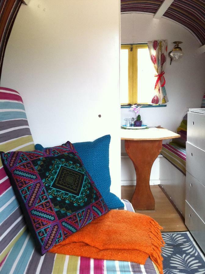 Clissmann Horse Caravans Glamping Rathdrum Zewnętrze zdjęcie