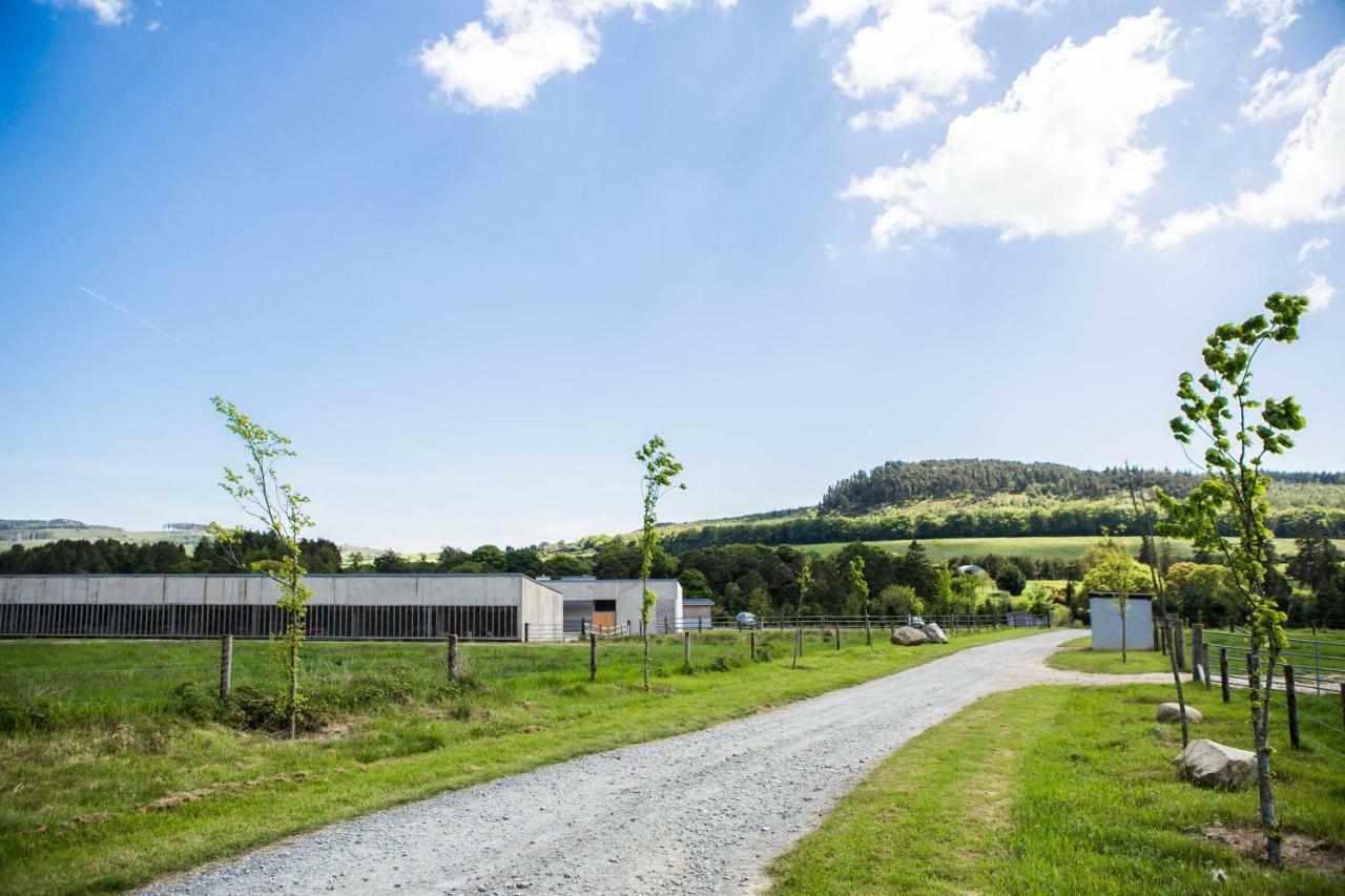 Clissmann Horse Caravans Glamping Rathdrum Zewnętrze zdjęcie
